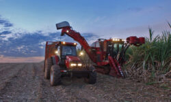 International food prices have risen due to the impact of the Middle East conflict on energy prices