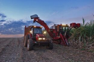 International food prices have risen due to the impact of the Middle East conflict on energy prices