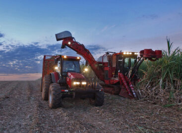 International food prices have risen due to the impact of the Middle East conflict on energy prices