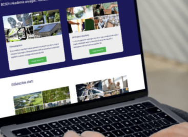 From danger to strength: how does climate resilience create value?