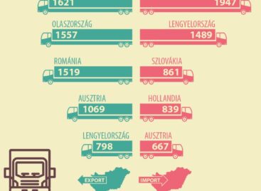 The cereals commodity group accounted for the majority of Hungary’s agricultural balance in 2025