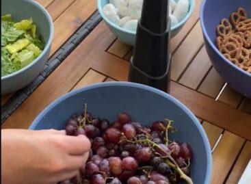 (HU) Az élet apró örömei – A nap videója