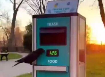 Látványos takarítás, tiszta parkok – A nap videója