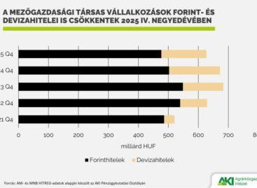 Agricultural loan portfolio decreased in 2025