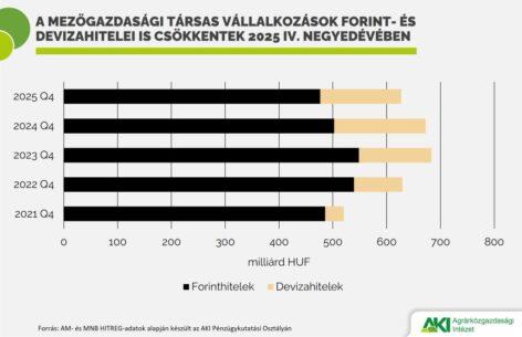 Agricultural loan portfolio decreased in 2025