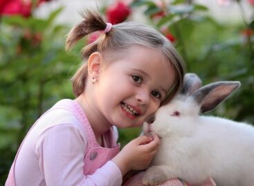 Rabbit keeping information is published by Nyuszijogsi