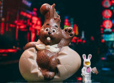 Easter chocolates: despite the drop in cocoa prices, cheaper bunnies are still waiting