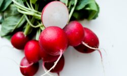 The price of one-month-old radishes has increased, the price of leeks has fallen: a mixed start to the year for onion crops and early vegetables