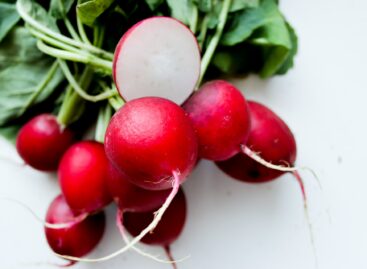 The price of one-month-old radishes has increased, the price of leeks has fallen: a mixed start to the year for onion crops and early vegetables
