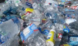 Reusable Packaging Could Save 710,000 Tonnes Of Waste In Germany, Study Finds