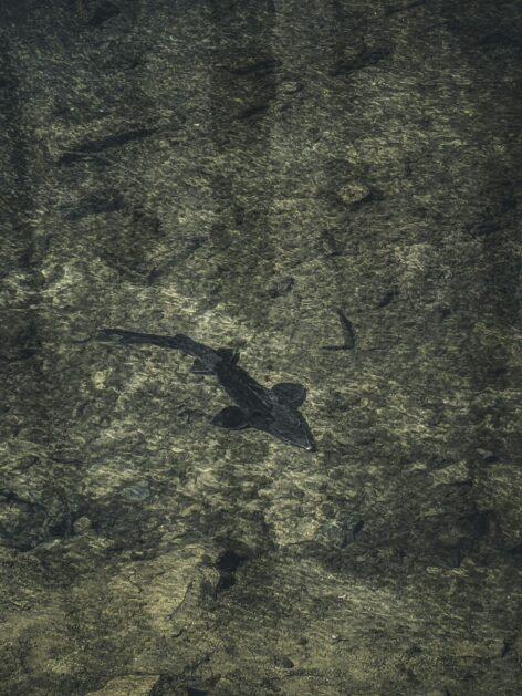 Kreatív technológia: a digitális élmény, amire a közönség vágyik