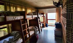 The new travel trend is built around hostel bars